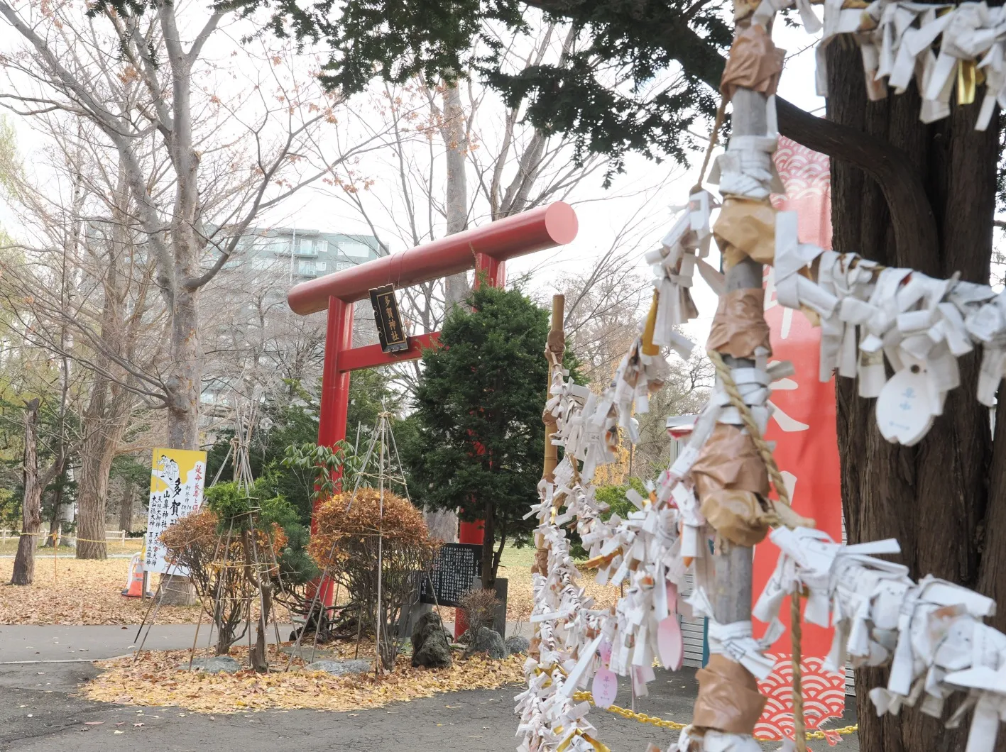 Tさま七五三撮影